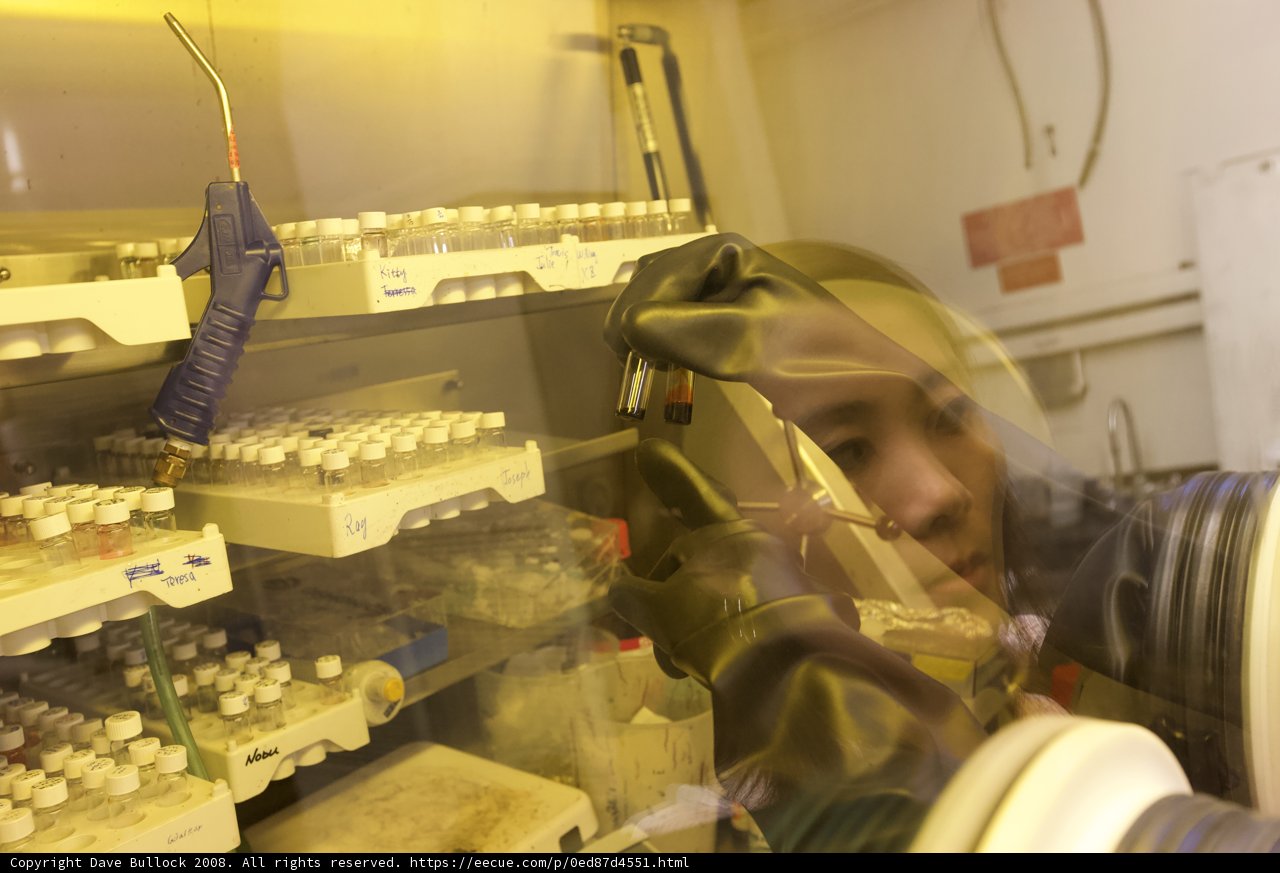 The Scientist in the Lab