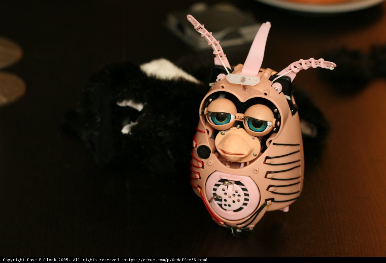 Big-Headed Toy with Accessories