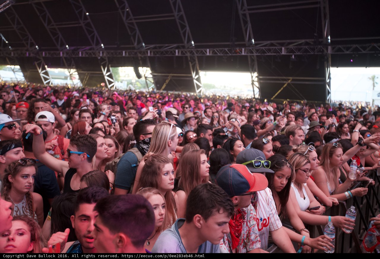 Coachella Madness