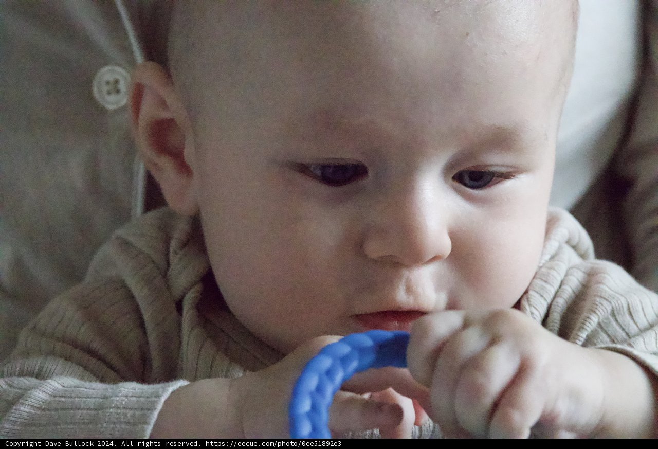 Precious Moments in Play