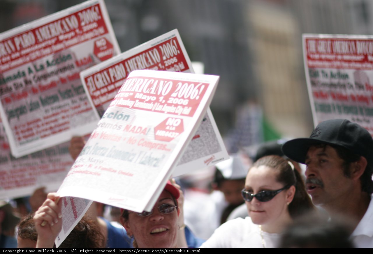 Protesters Rally with Signs