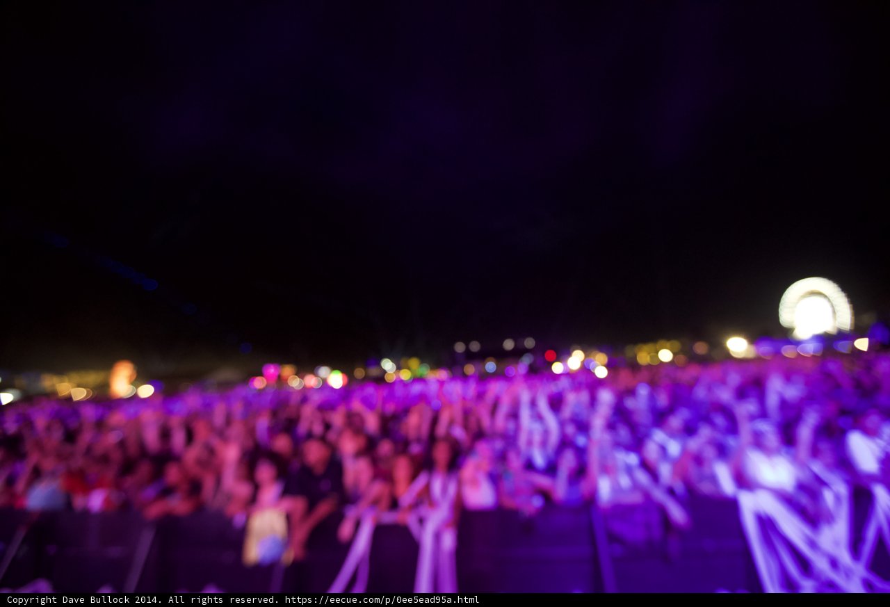 Purple Haze at Coachella