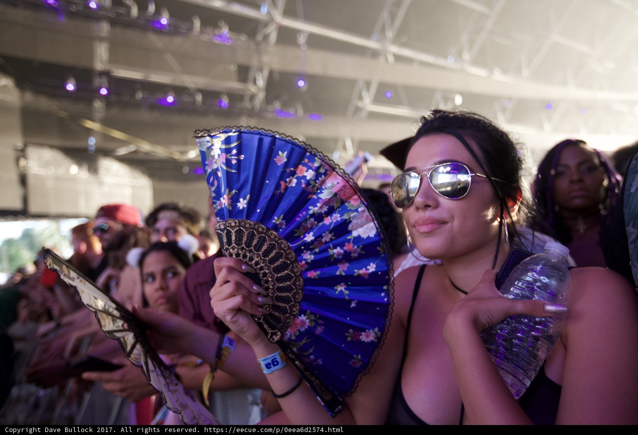 Fan-tastic Concert Vibes