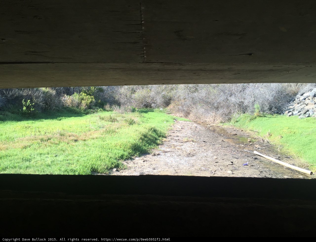 View from Under Bridge