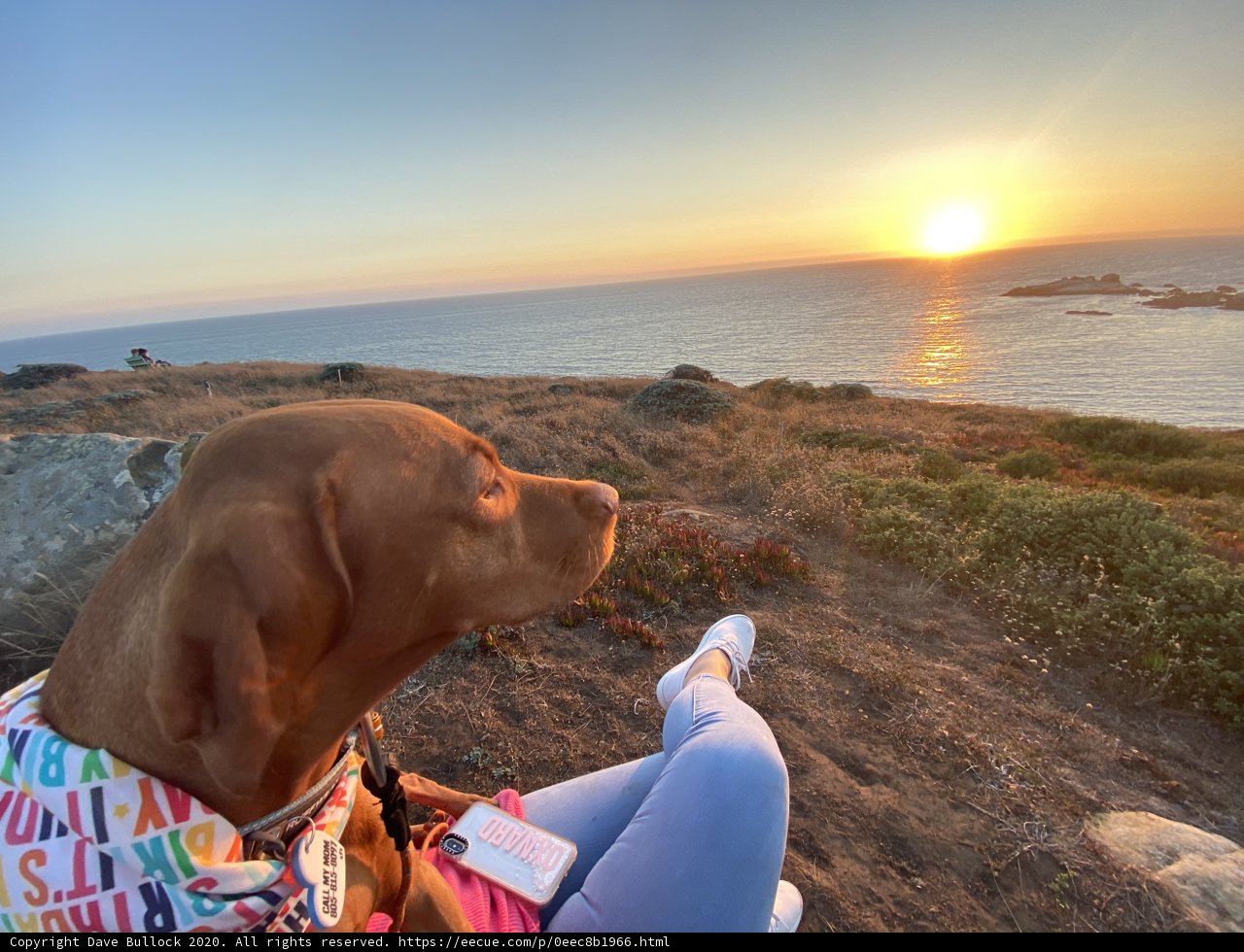 Overlooking the Ocean
