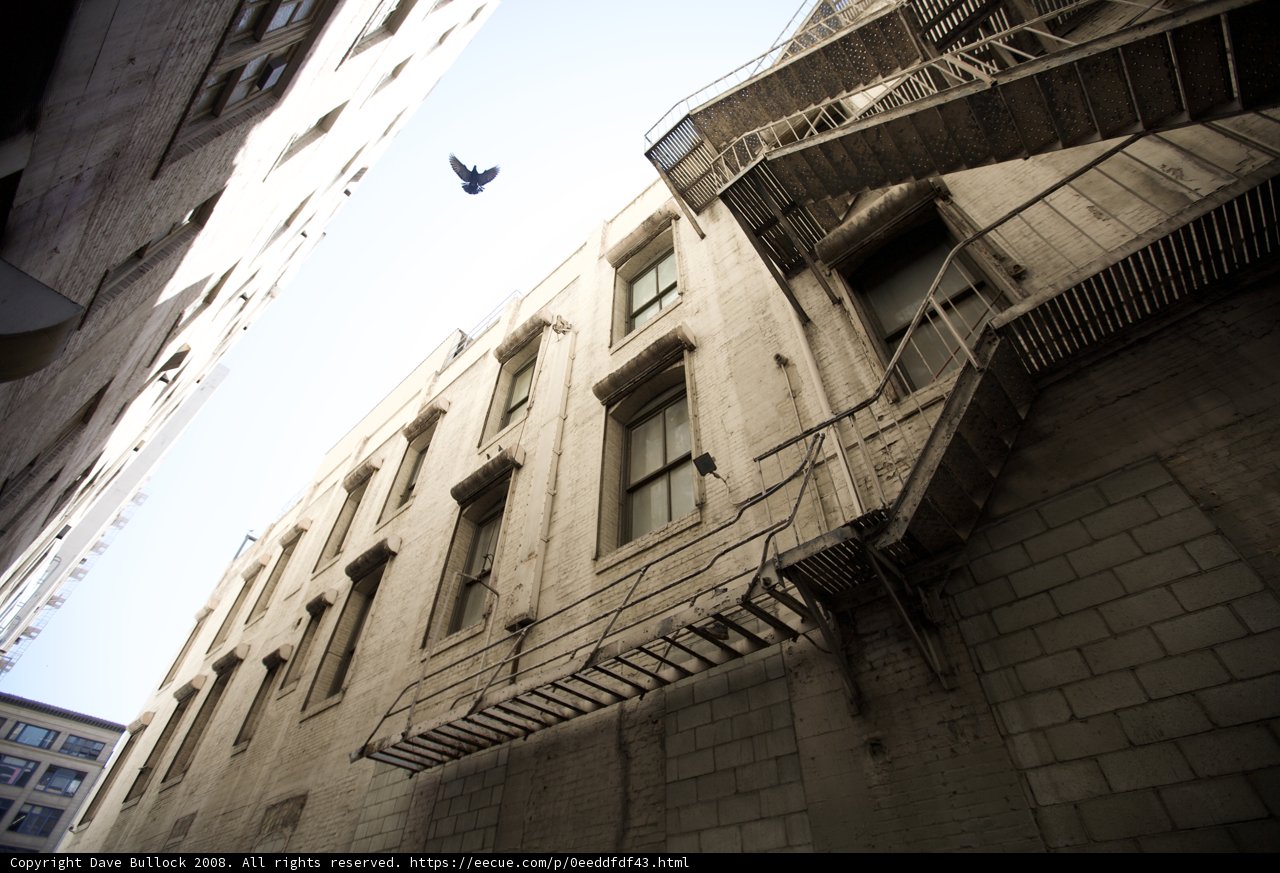 Urban Flight