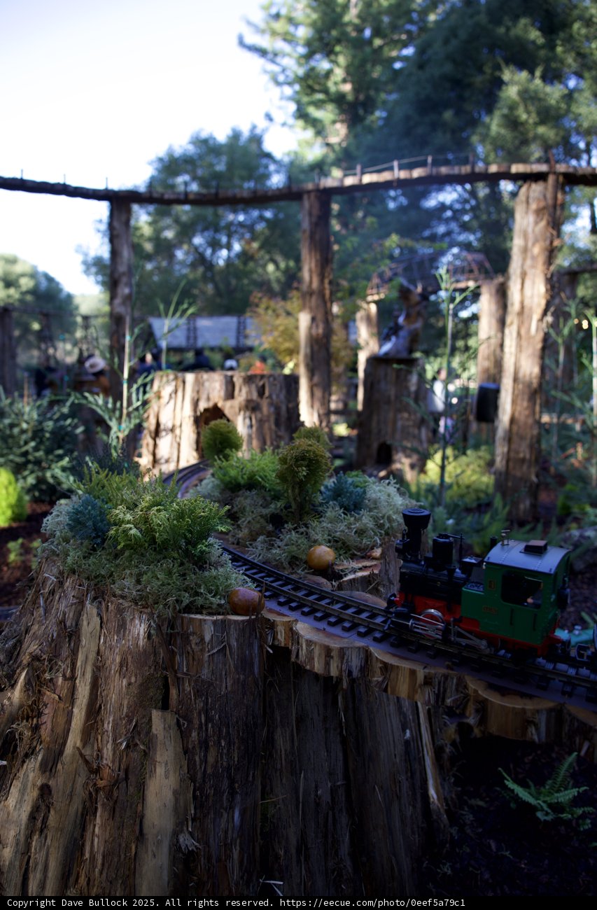 Miniature Train Adventure