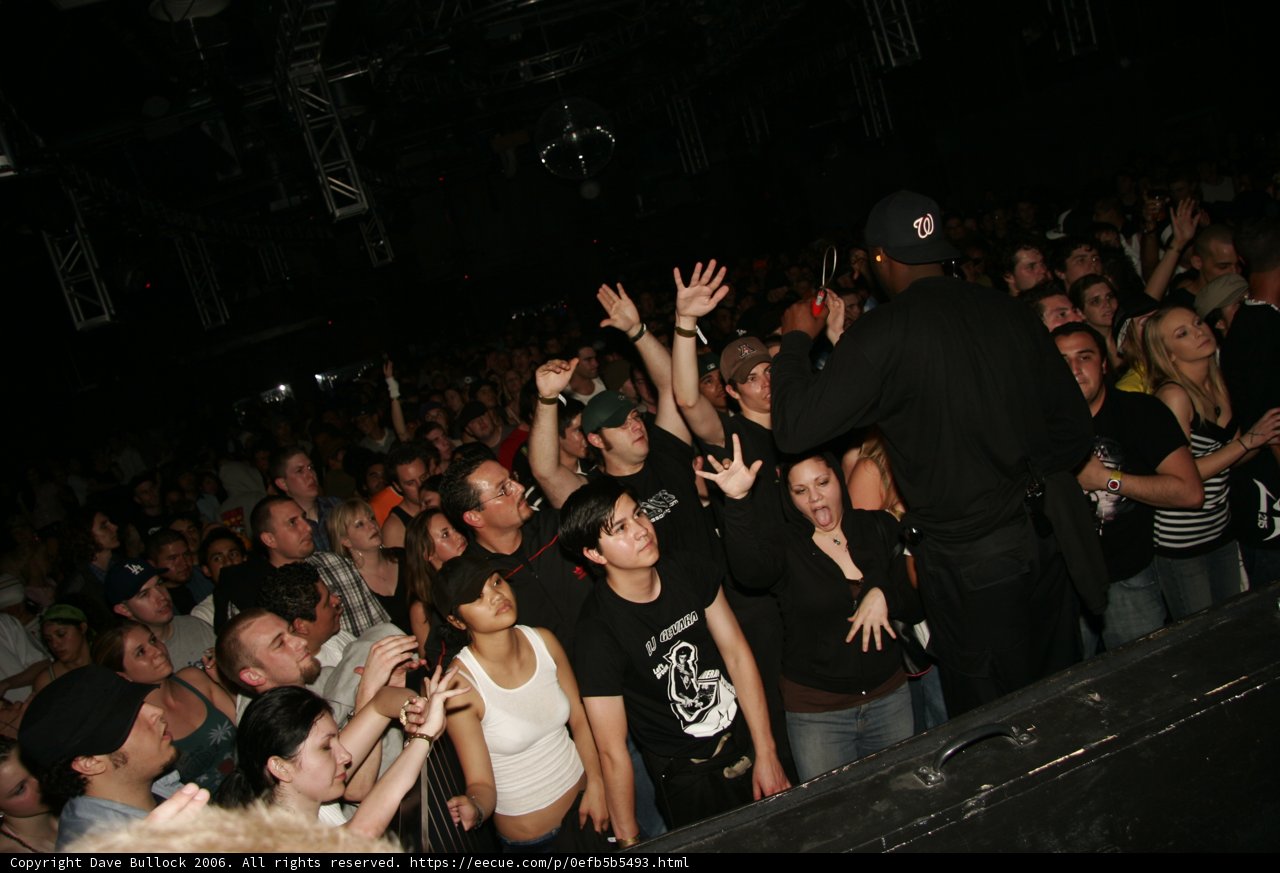 Funktion Viram Concert Crowd