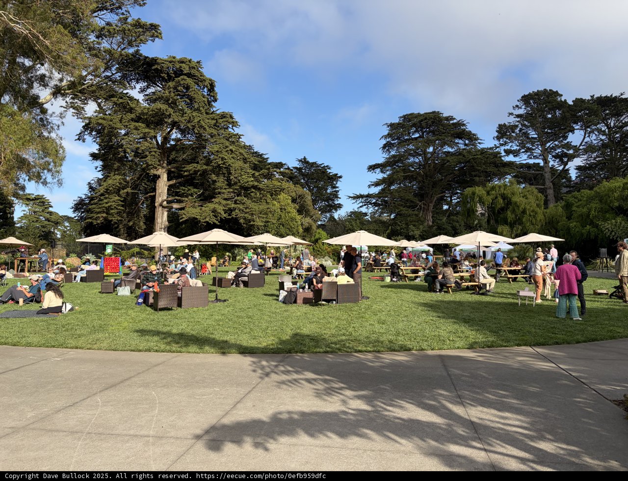 Sunny Afternoon at the Botanical Gardens