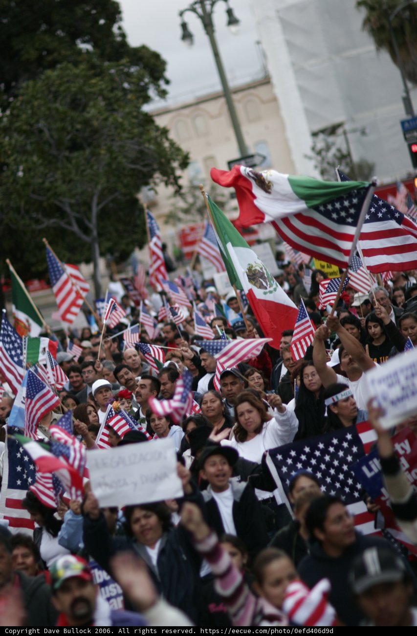 Patriotic Crowd