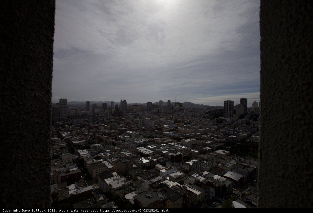 Metropolis View