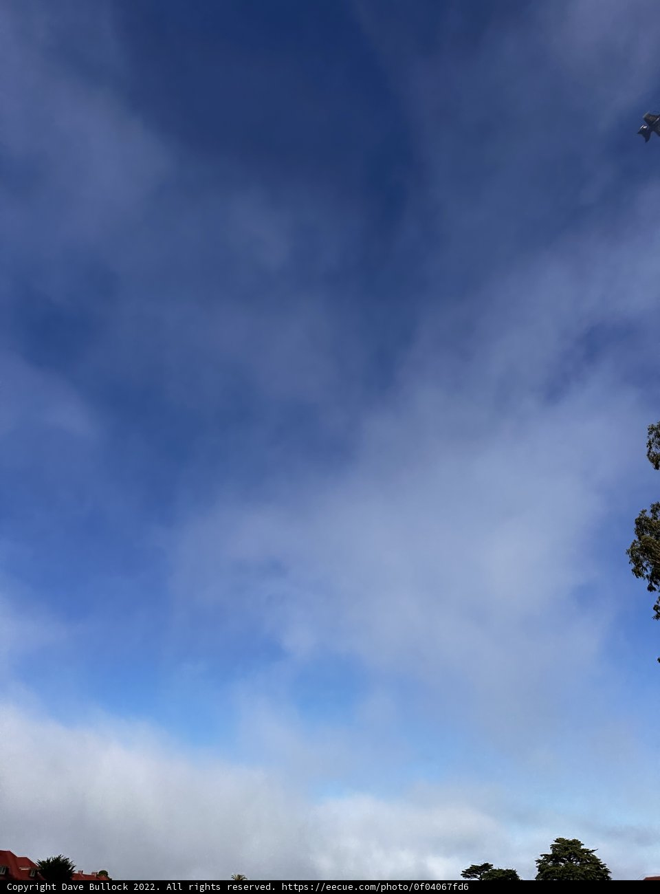 View from the Top of the Hill
