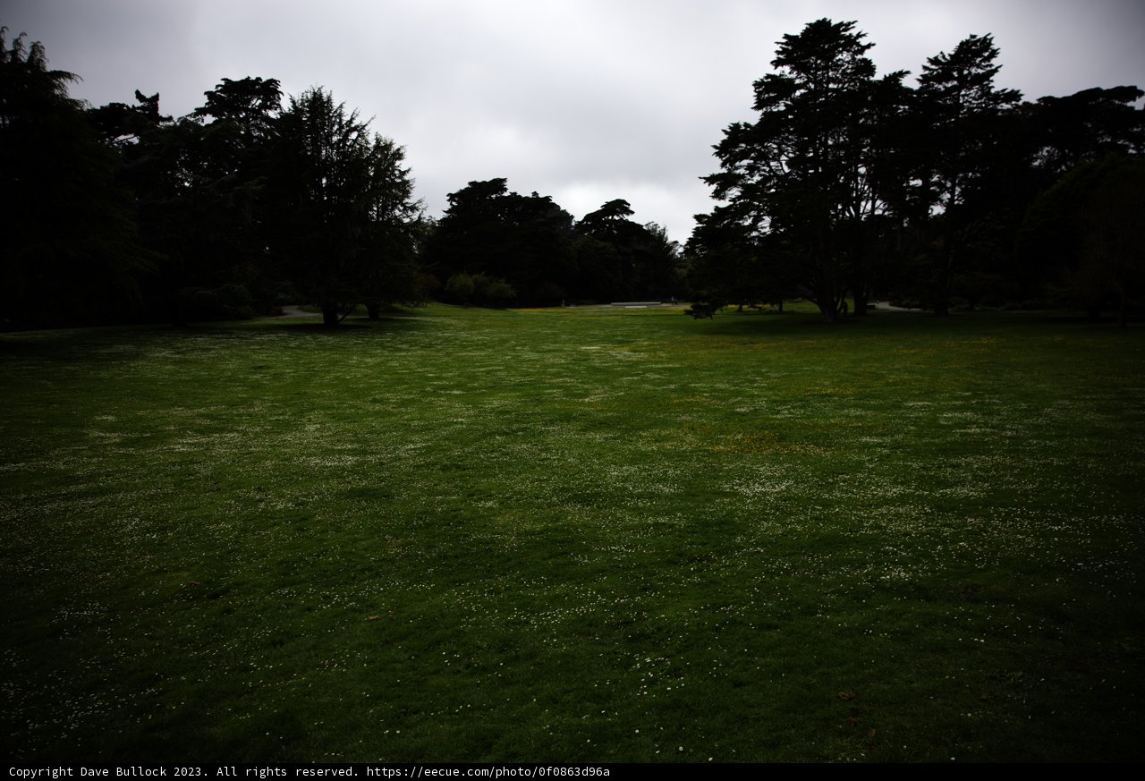 Serenity at San Francisco Botanical Garden