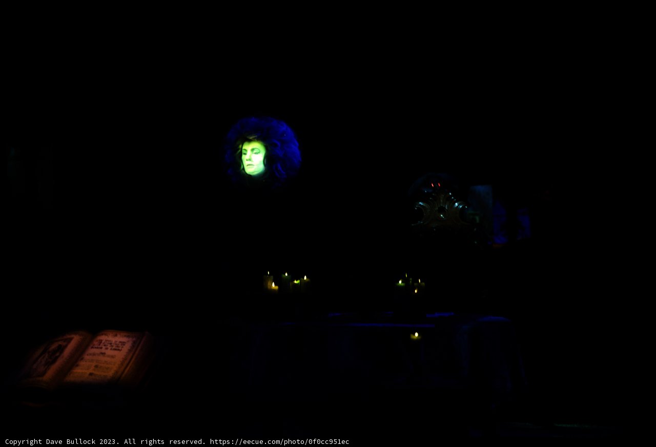 Enchanting Night at the Beast's Castle