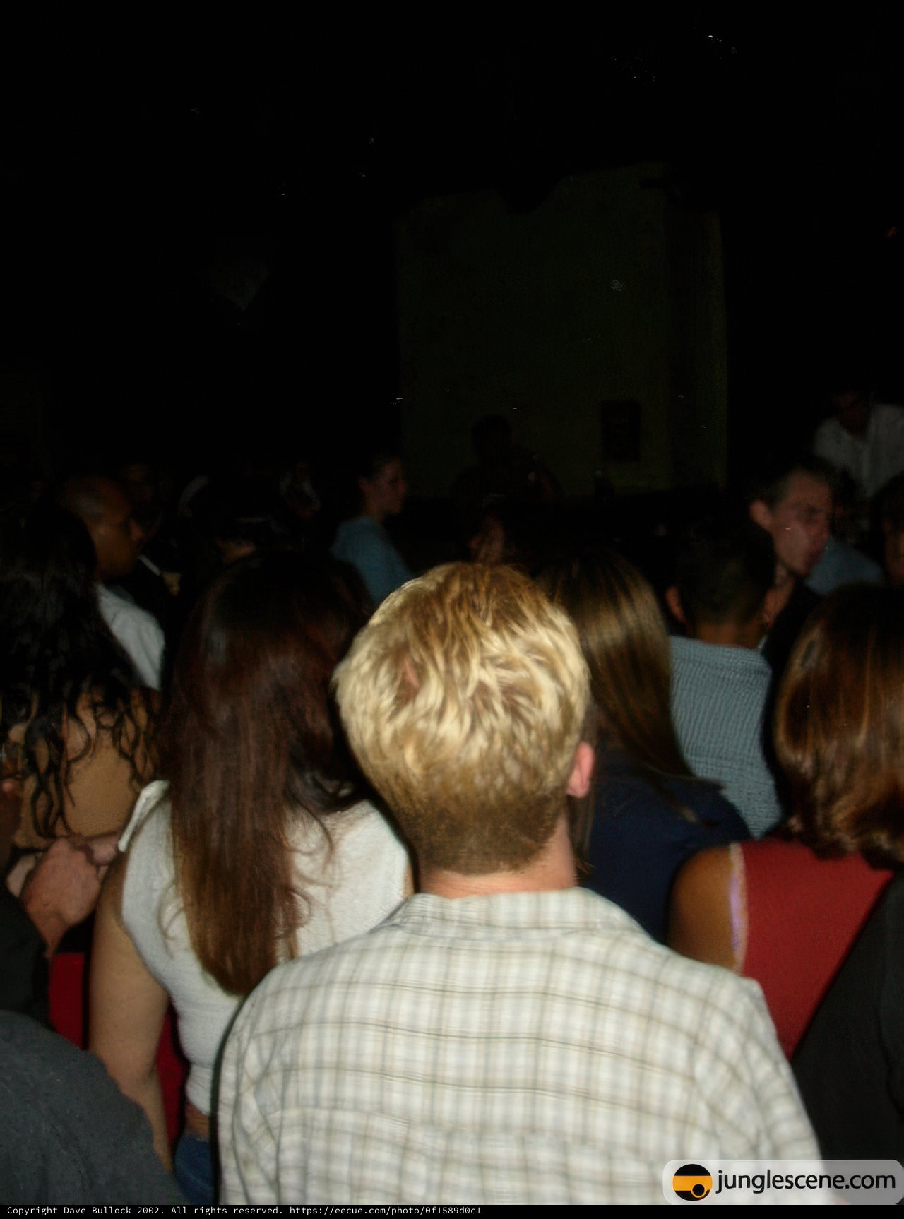Night Club Party Madness