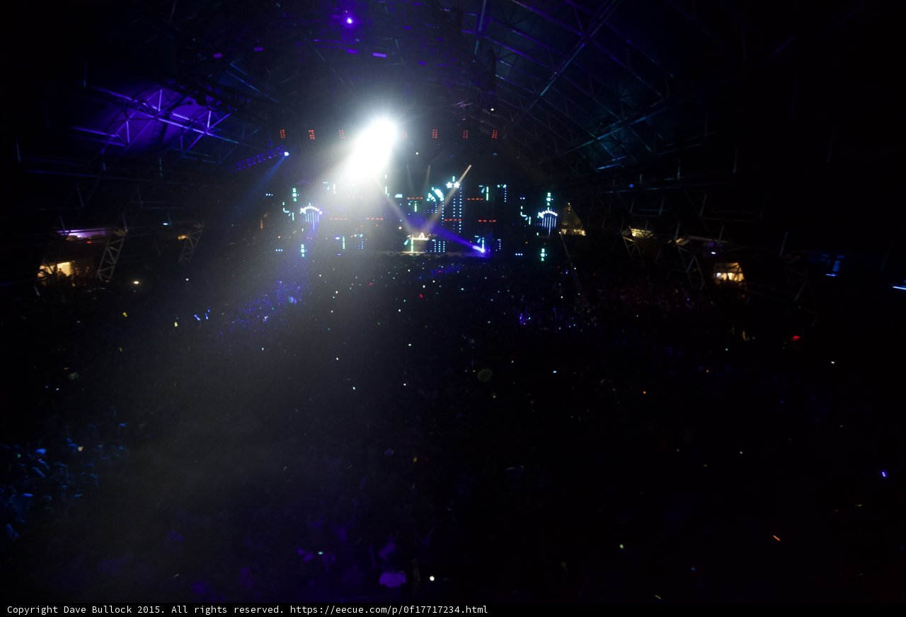 Nightlife Ignites
