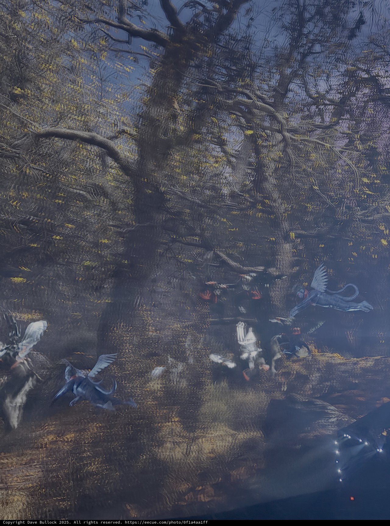 Mystical Forest Scene with Flying Birds