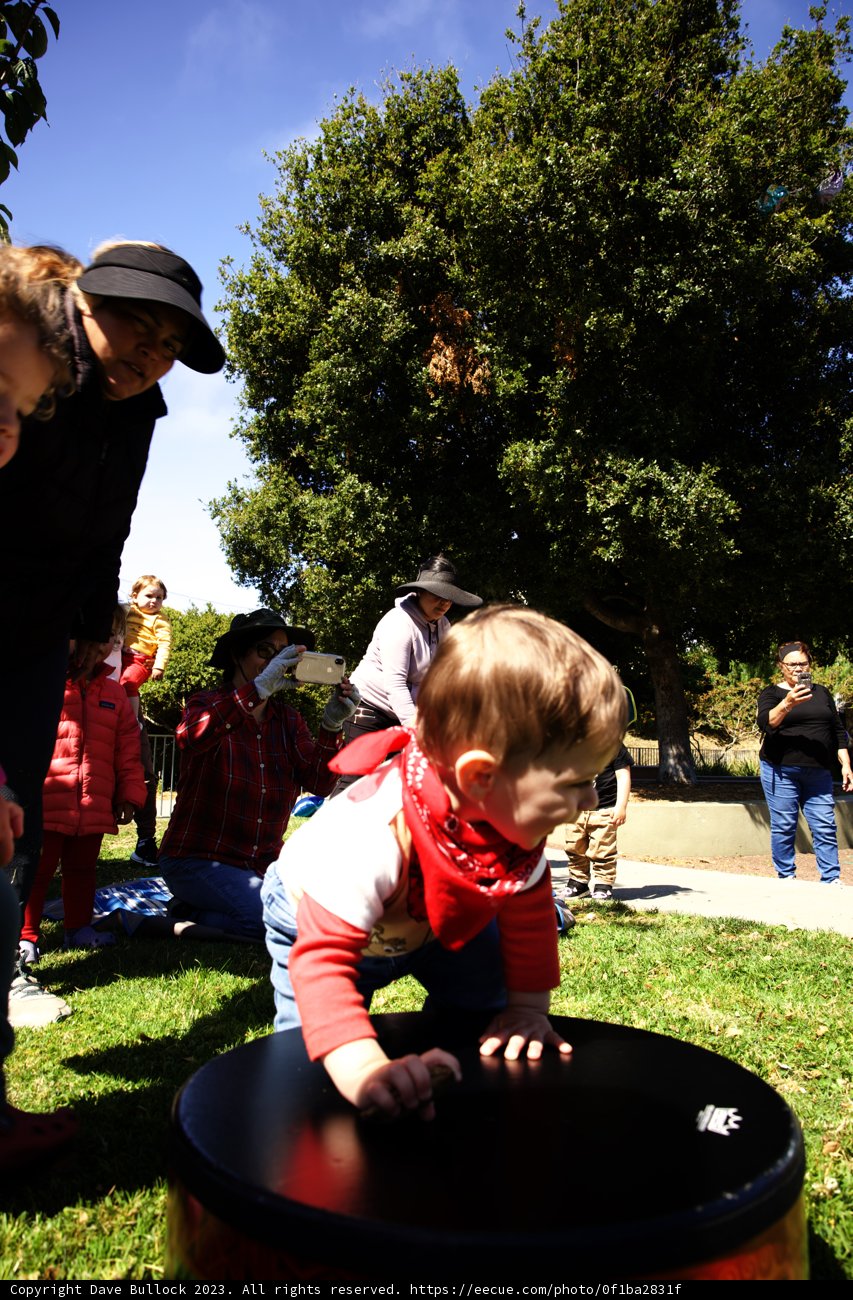 Wesley's Enthralling First Steps into Play