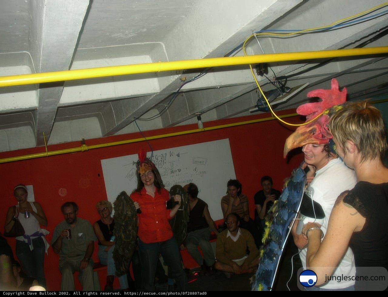 Bird Costume Party