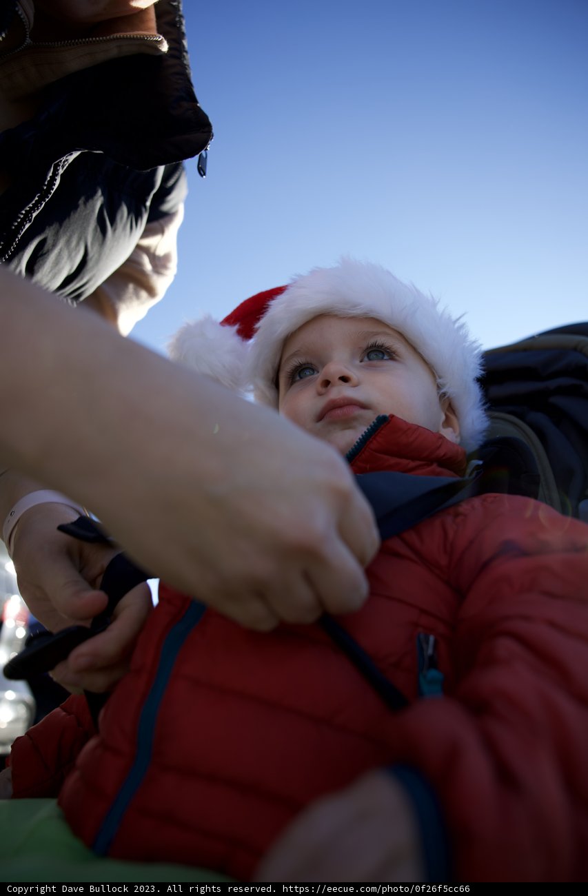 Holiday Joy - Winter Wonderland, 2023