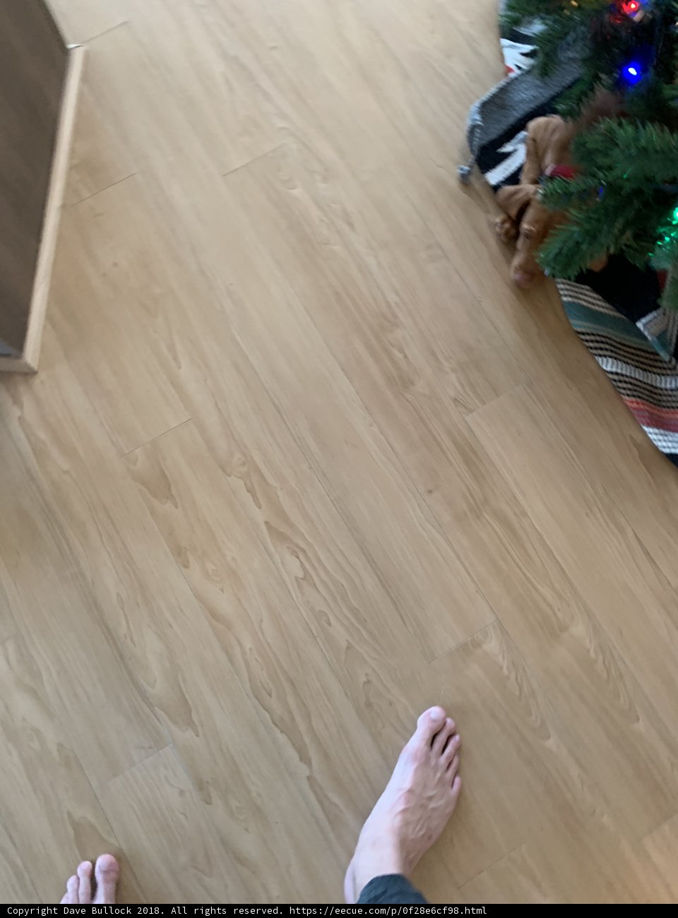 Festive Living Room