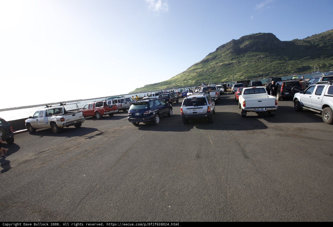 A Busy Day at the Parking Lot