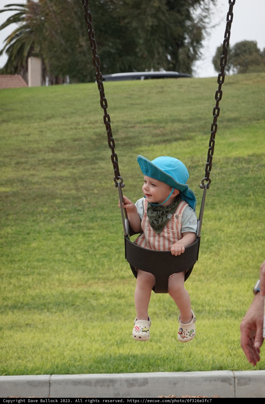 Summertime Joy at the Swing Park