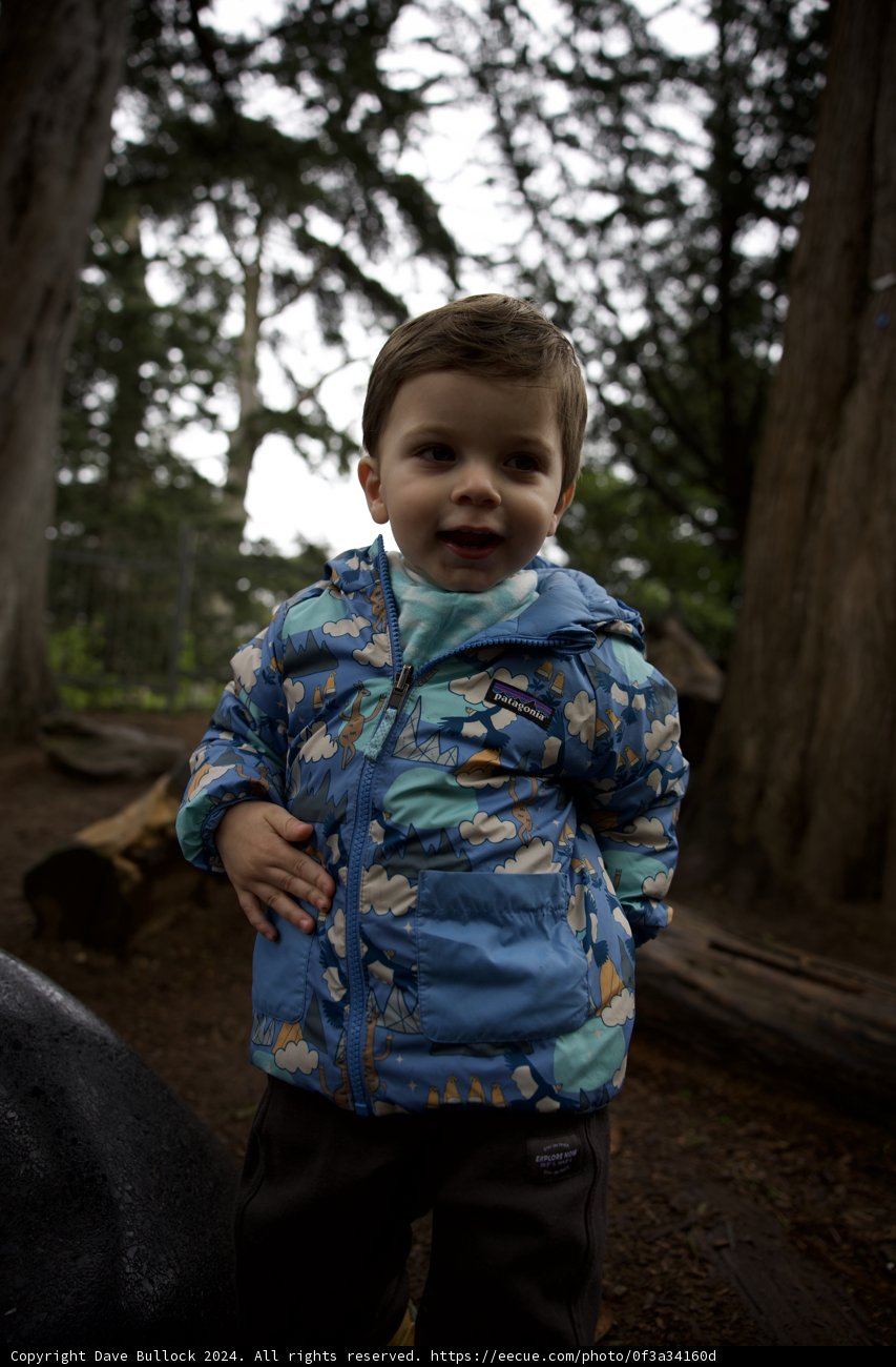 Exploring the Wilderness: California Nature Journey