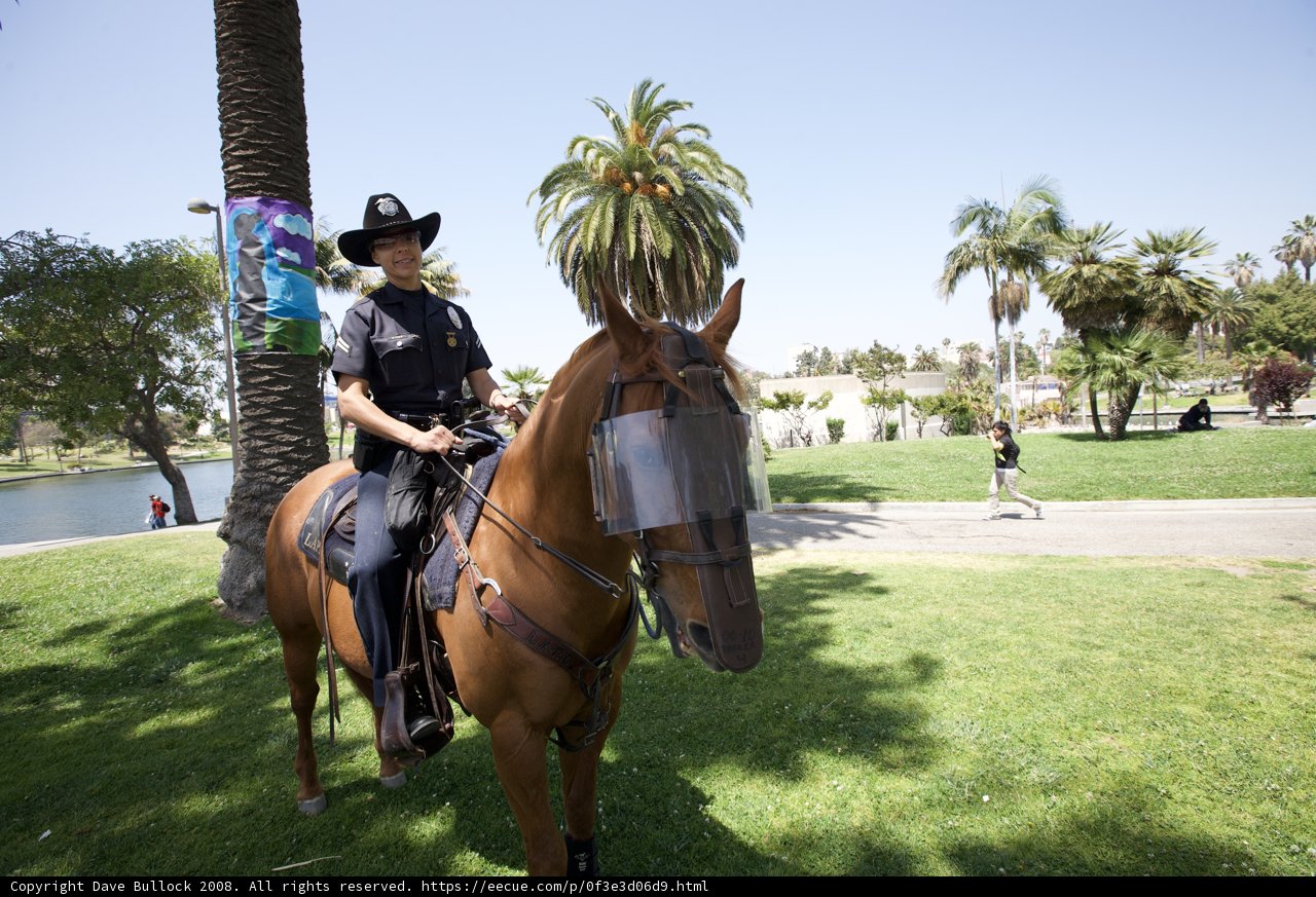 Horseback Riding at the Mayday Rally