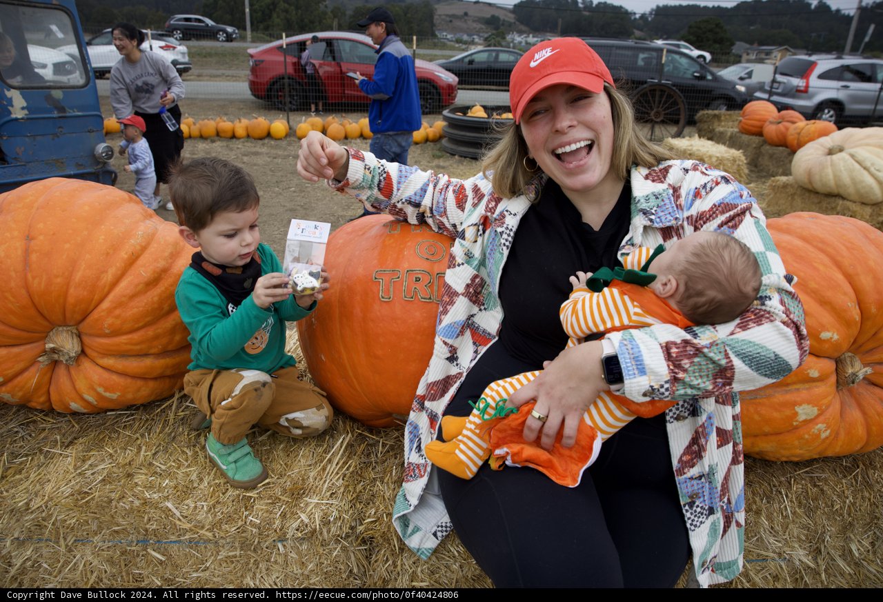 Harvest Joy