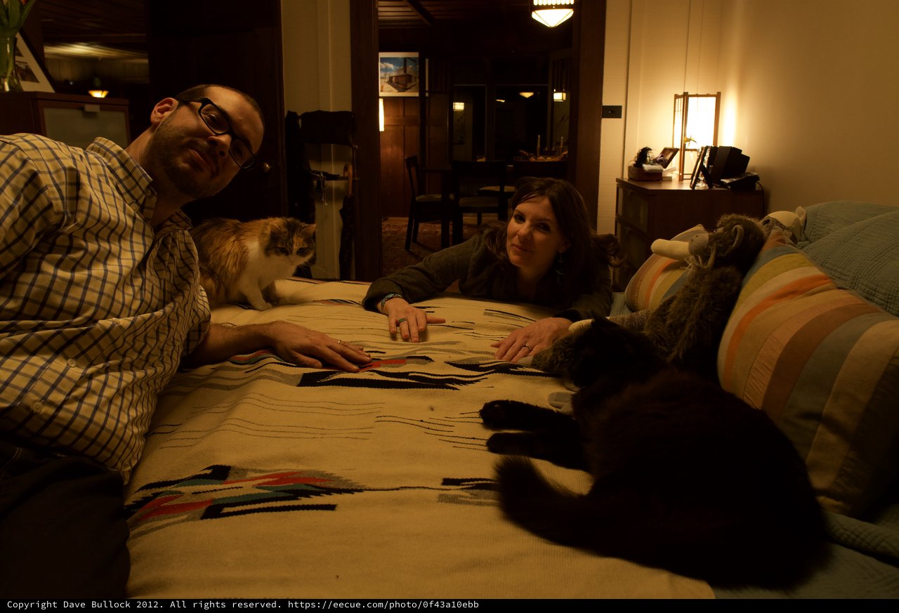 Couple and Cats Relaxing on Patterned Blanket at Home