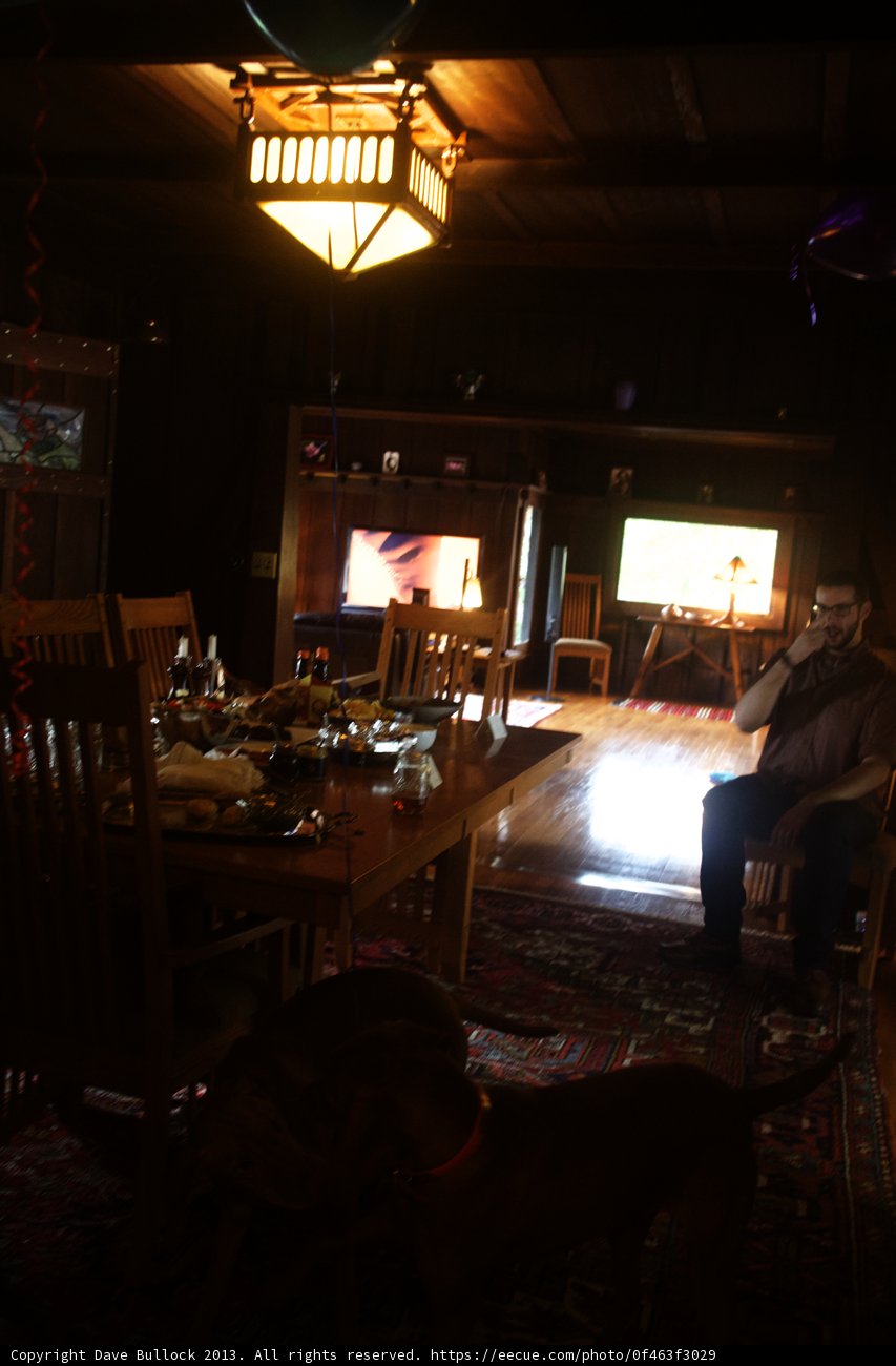 A Dog in a Cozy Dining Room