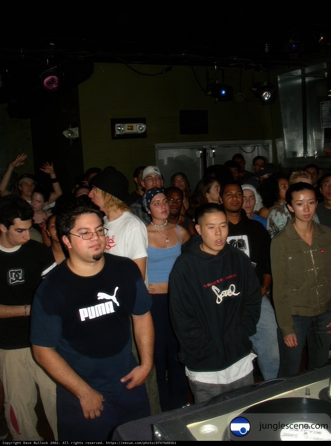 Nightclub Crowd