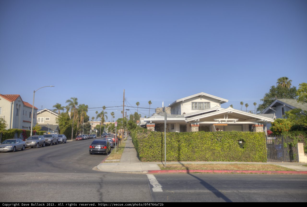 A Quiet Street in the Suburbs