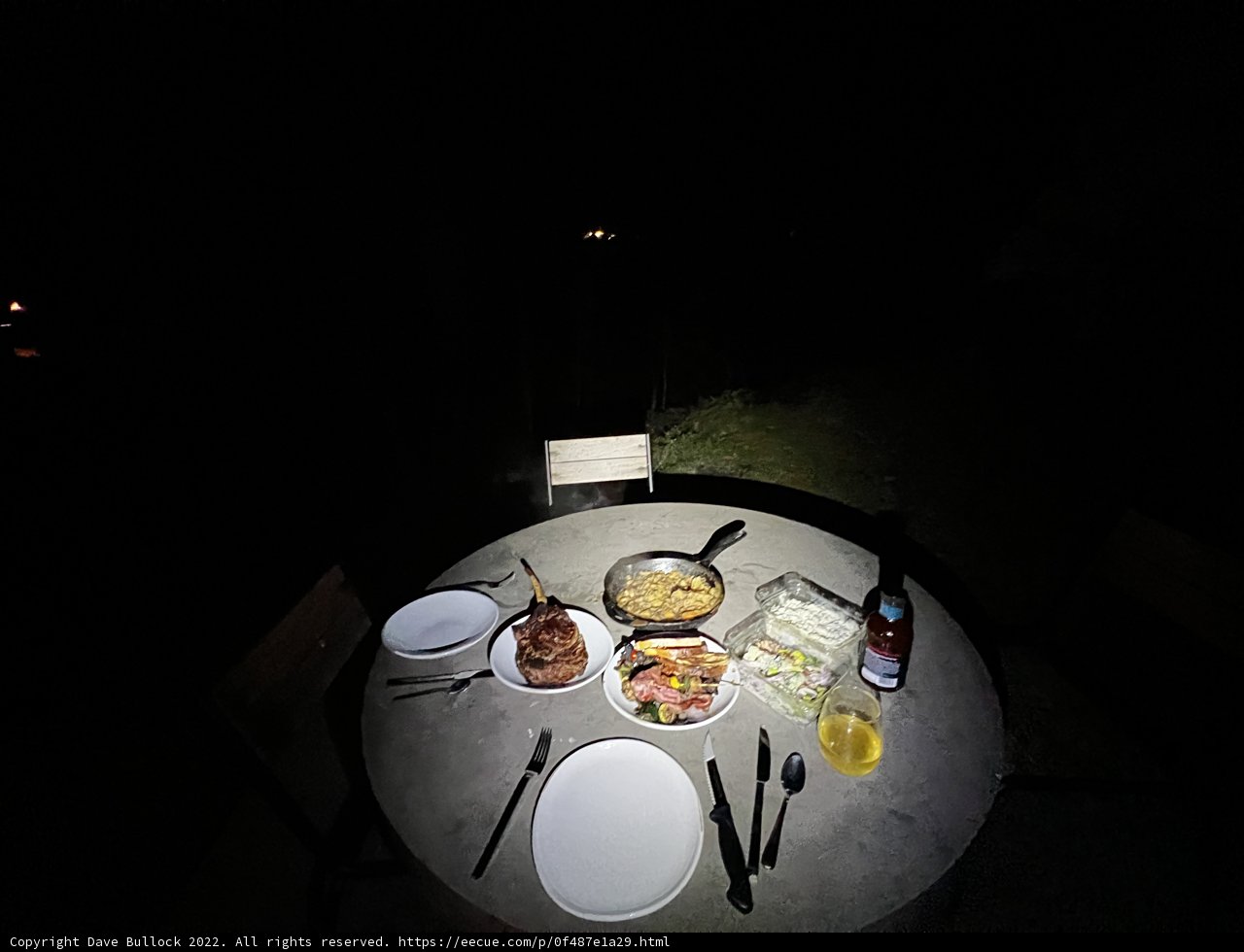 Dining in the Forest