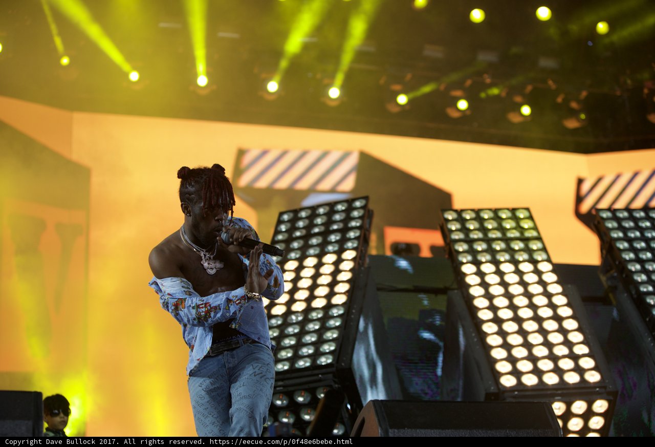 Spotlight on the Musician