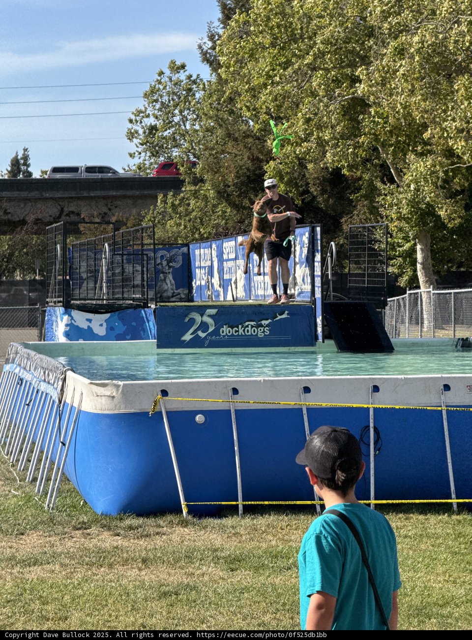Summer Splash at the Dock