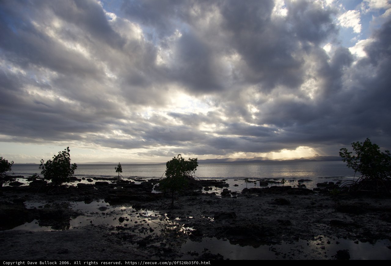 Moody Ocean View
