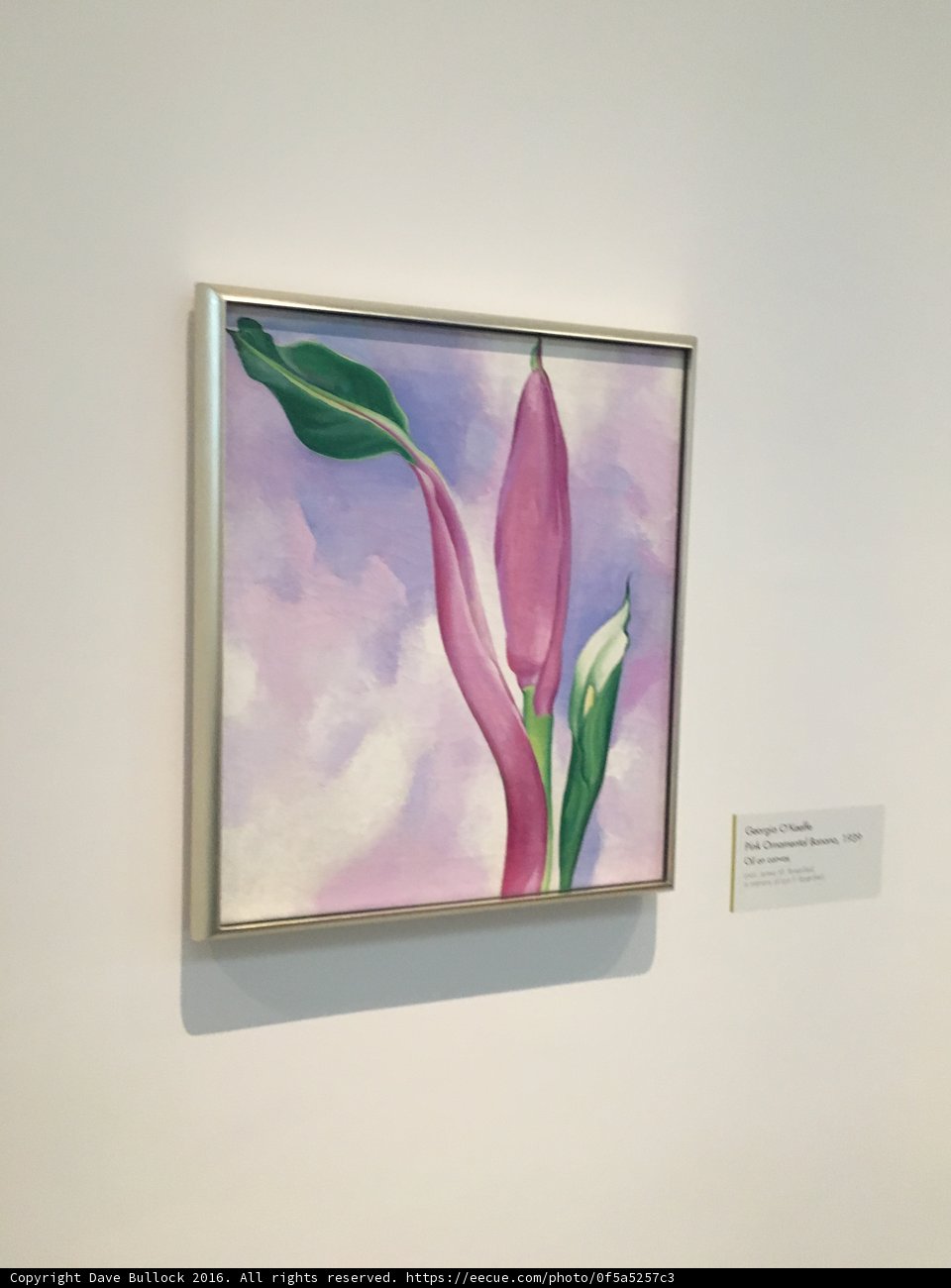 Floral Art in a Modern Frame