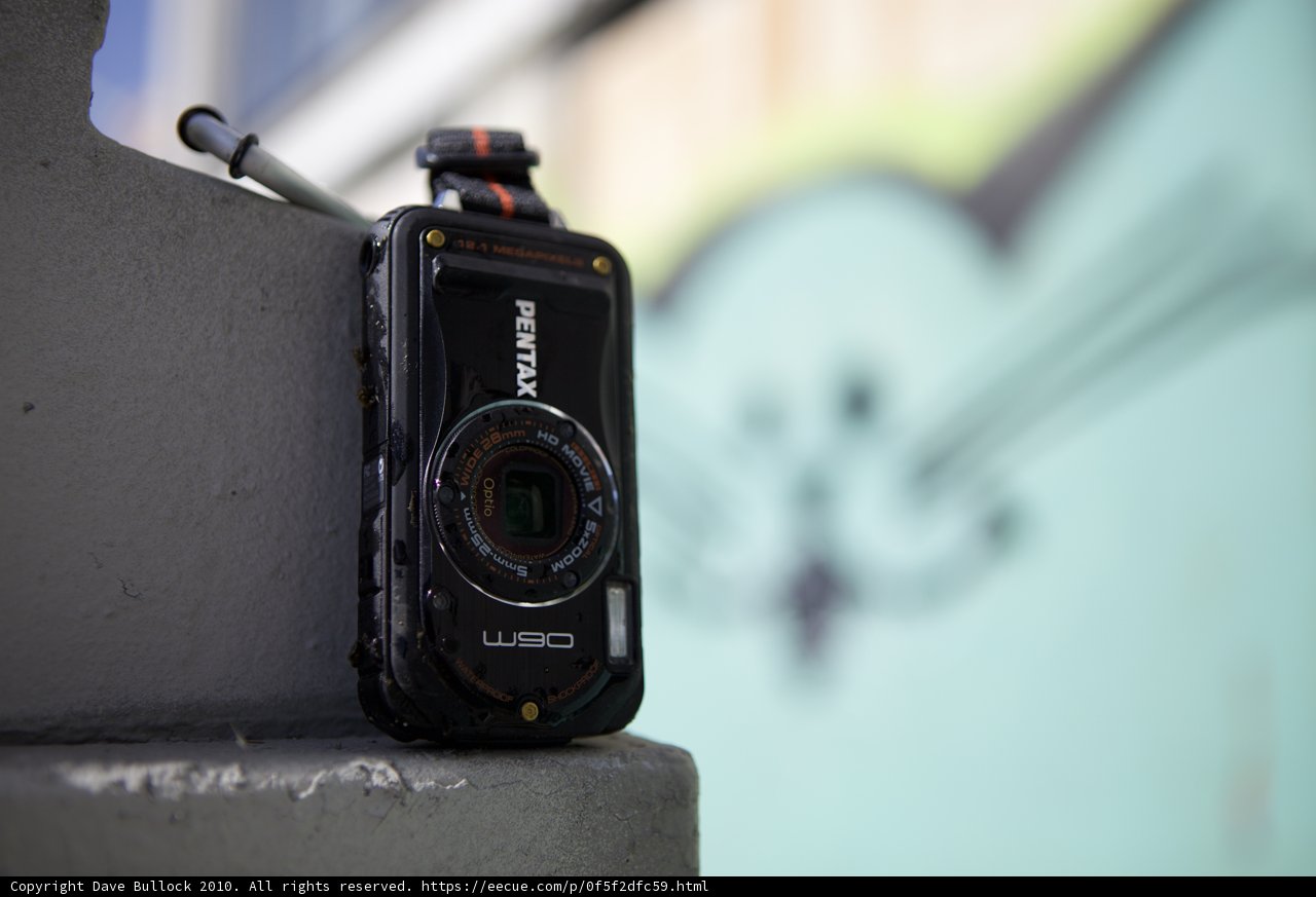 Capturing Life through a Lens
