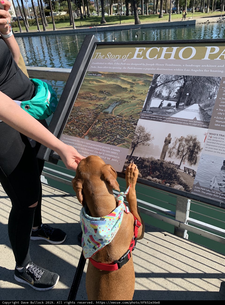 Boardwalk Companion