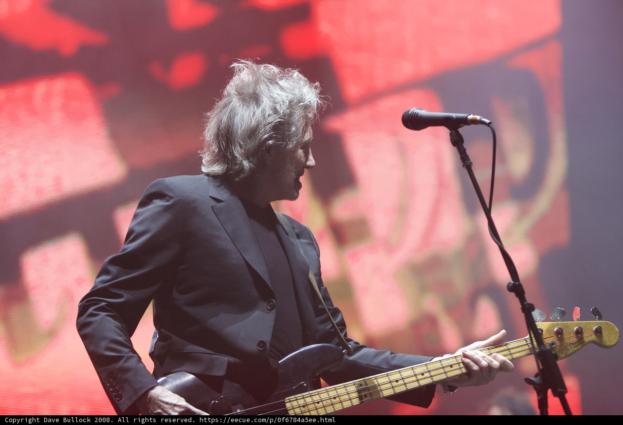 The Suited Bassist Rocking Coachella
