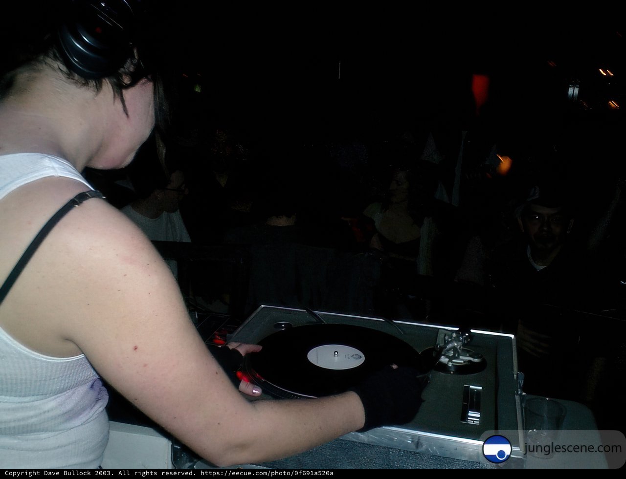 Vinyl Fever