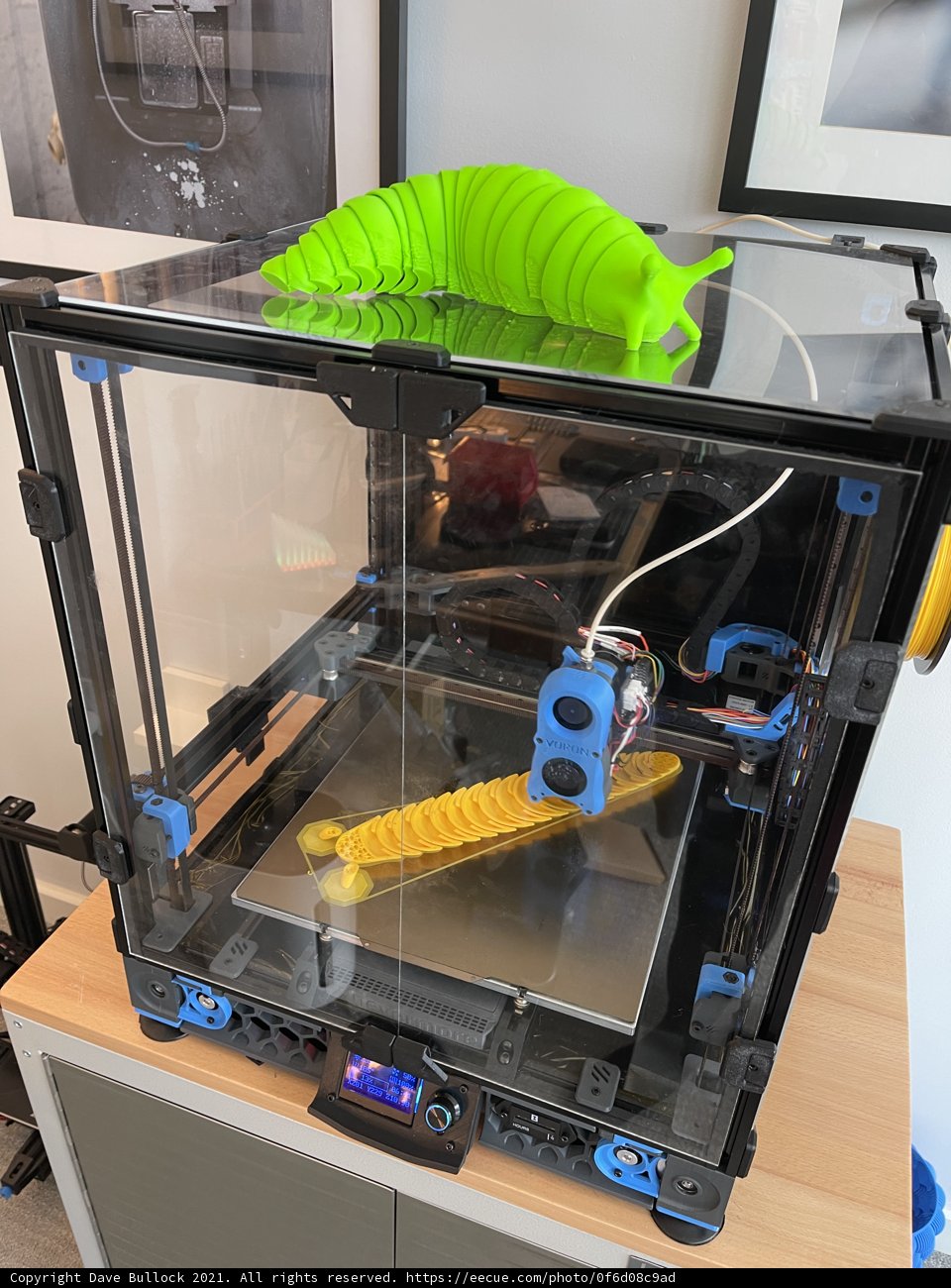 Wormy 3D Printing Adventure