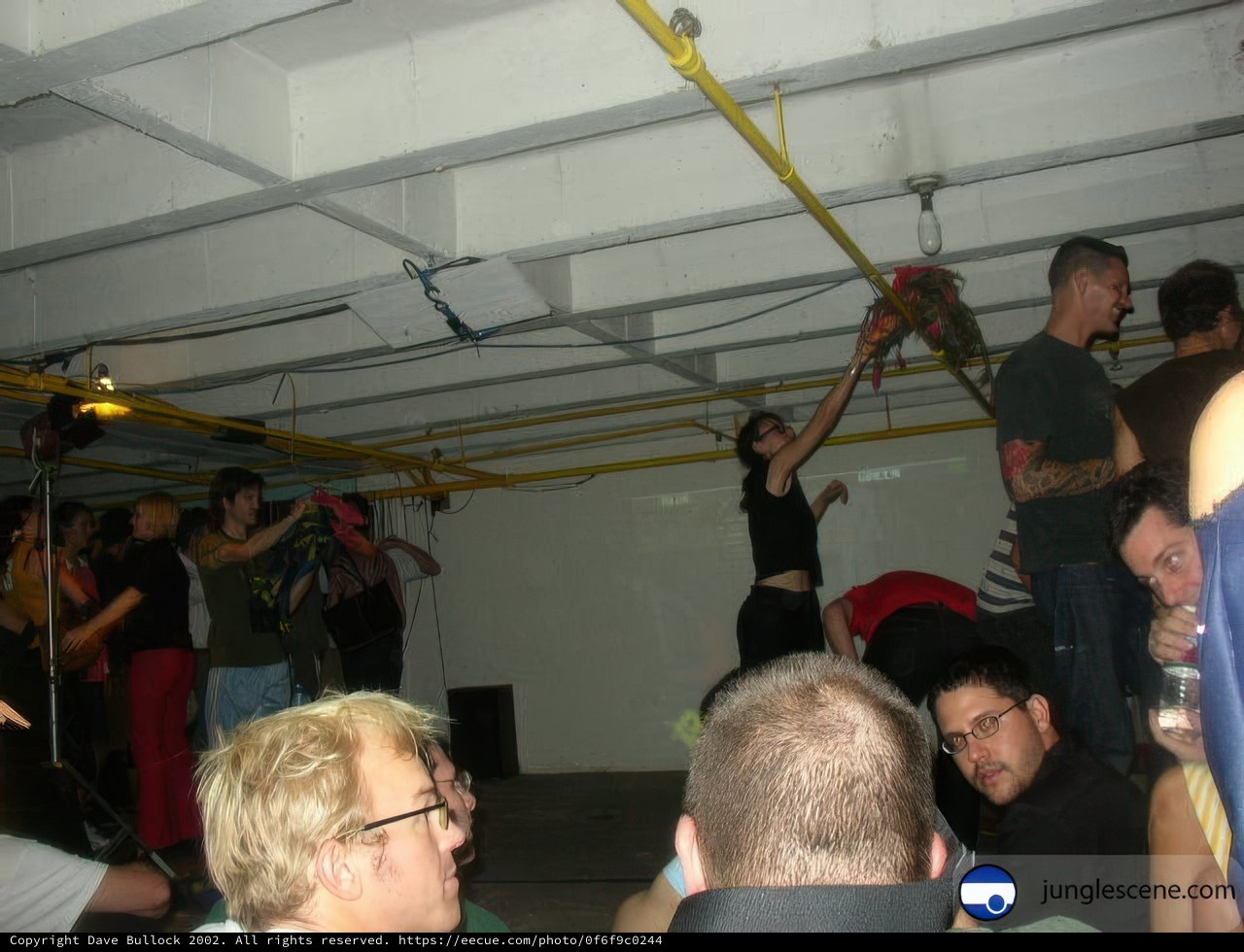 Cockfighting at the Clubhouse
