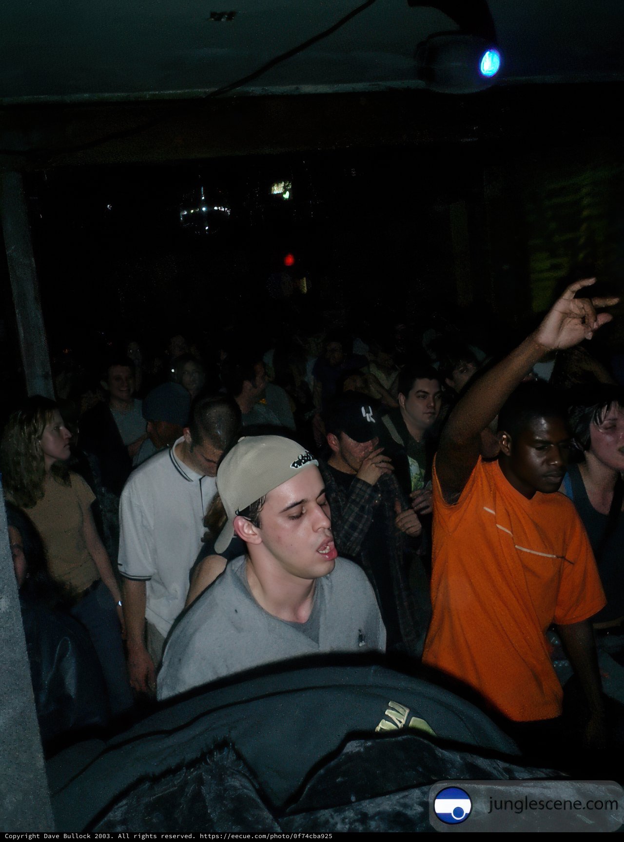 Nightlife Partygoers