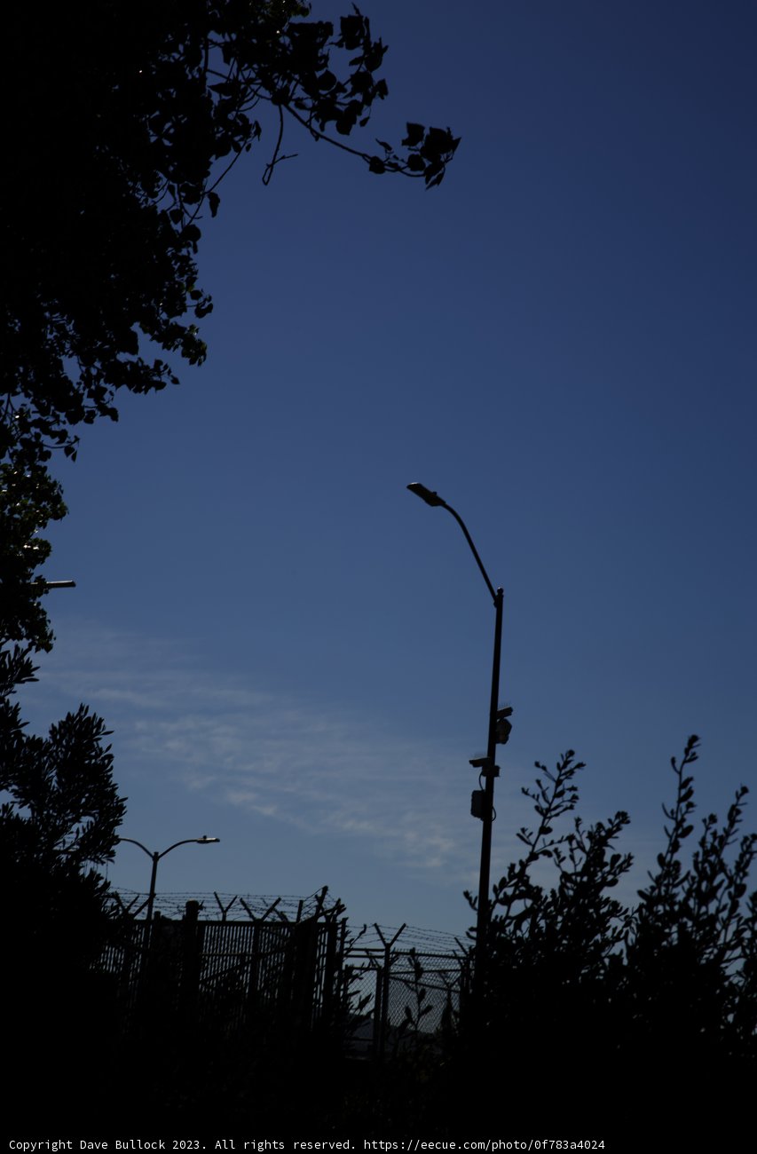 Silhouetted Sentinel in Millbrae