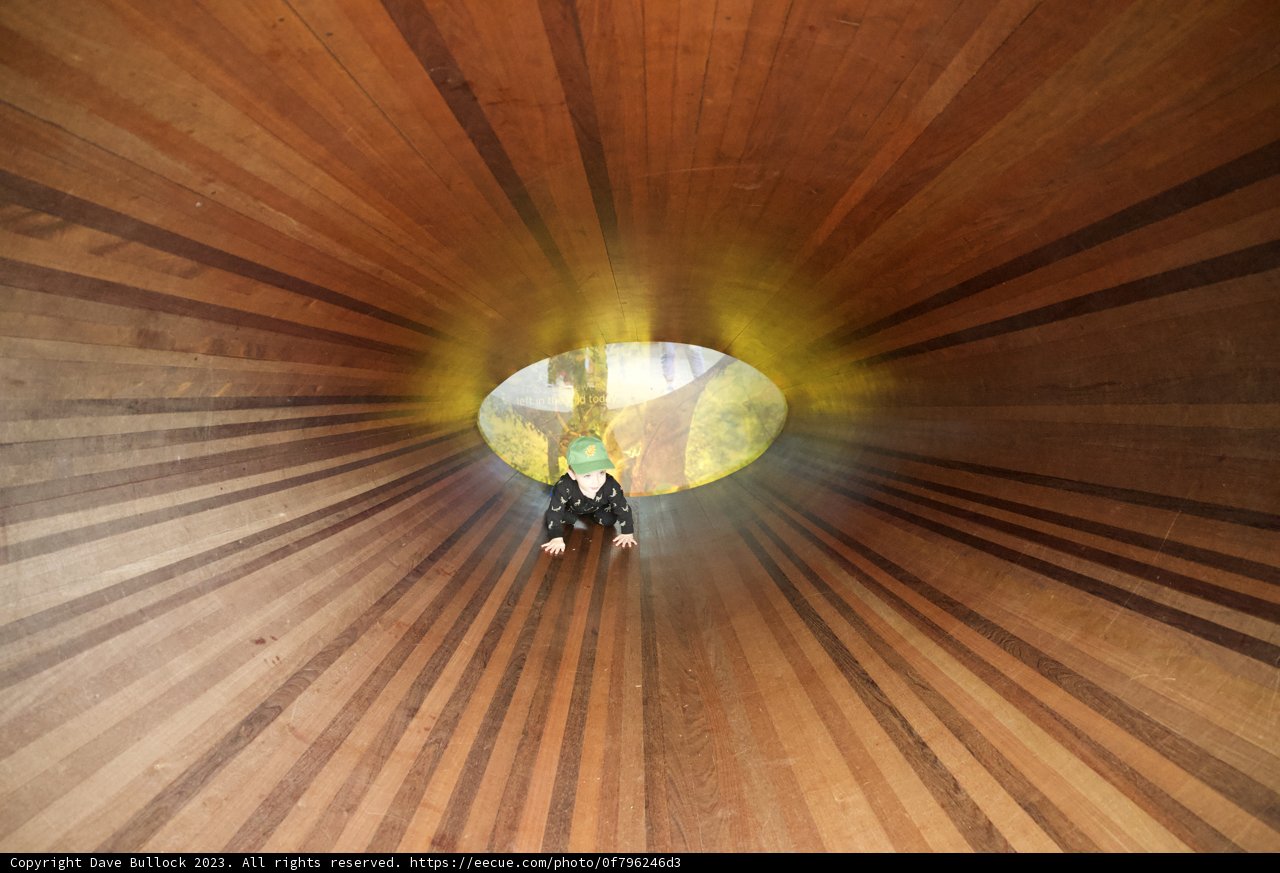 Symphony of Wood and Light