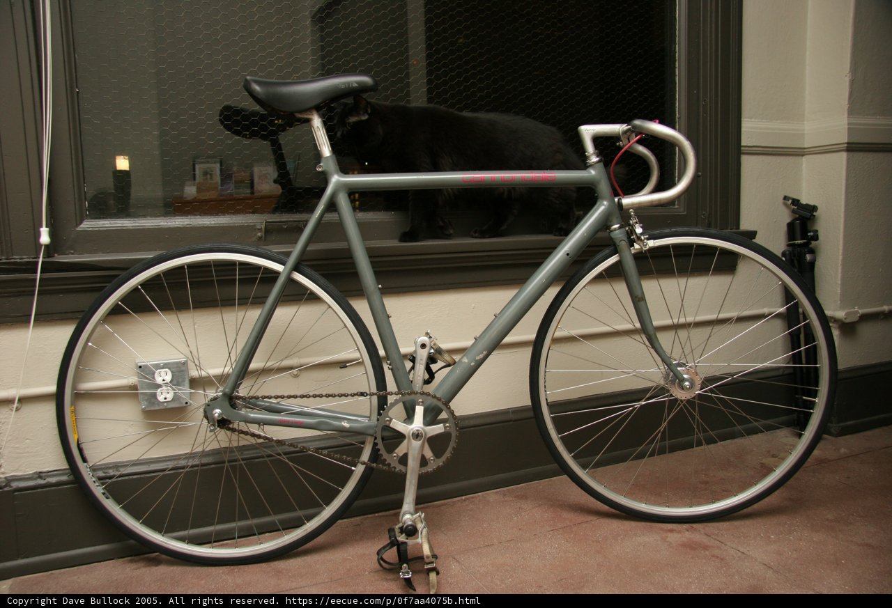 Window Leaning Bicycle