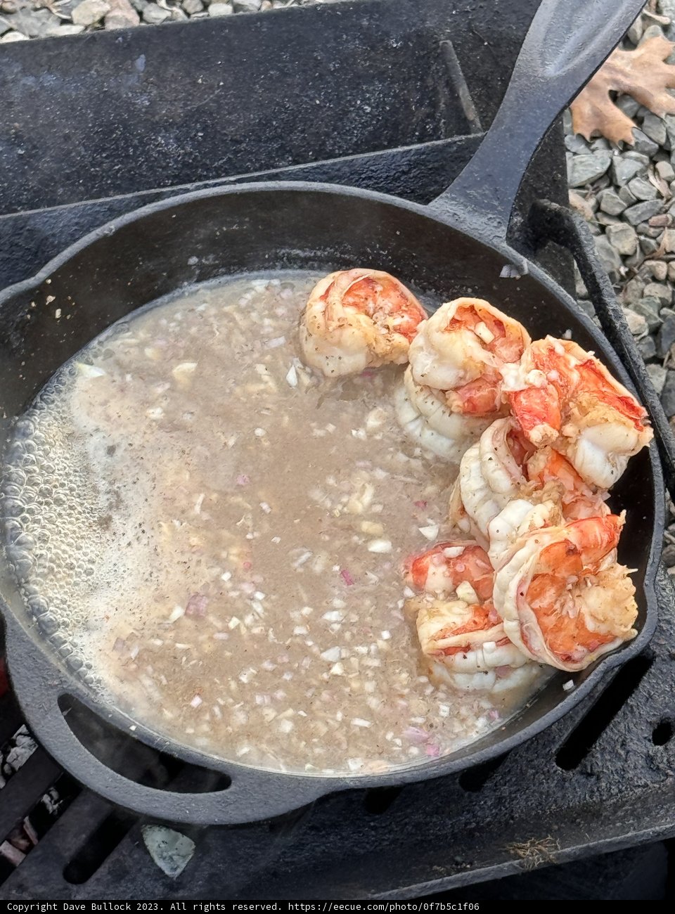 Grilled Shrimp Delight